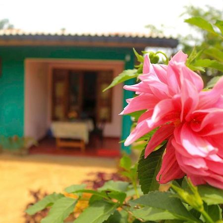 Yoho Nilmini Homestay Елла Екстер'єр фото