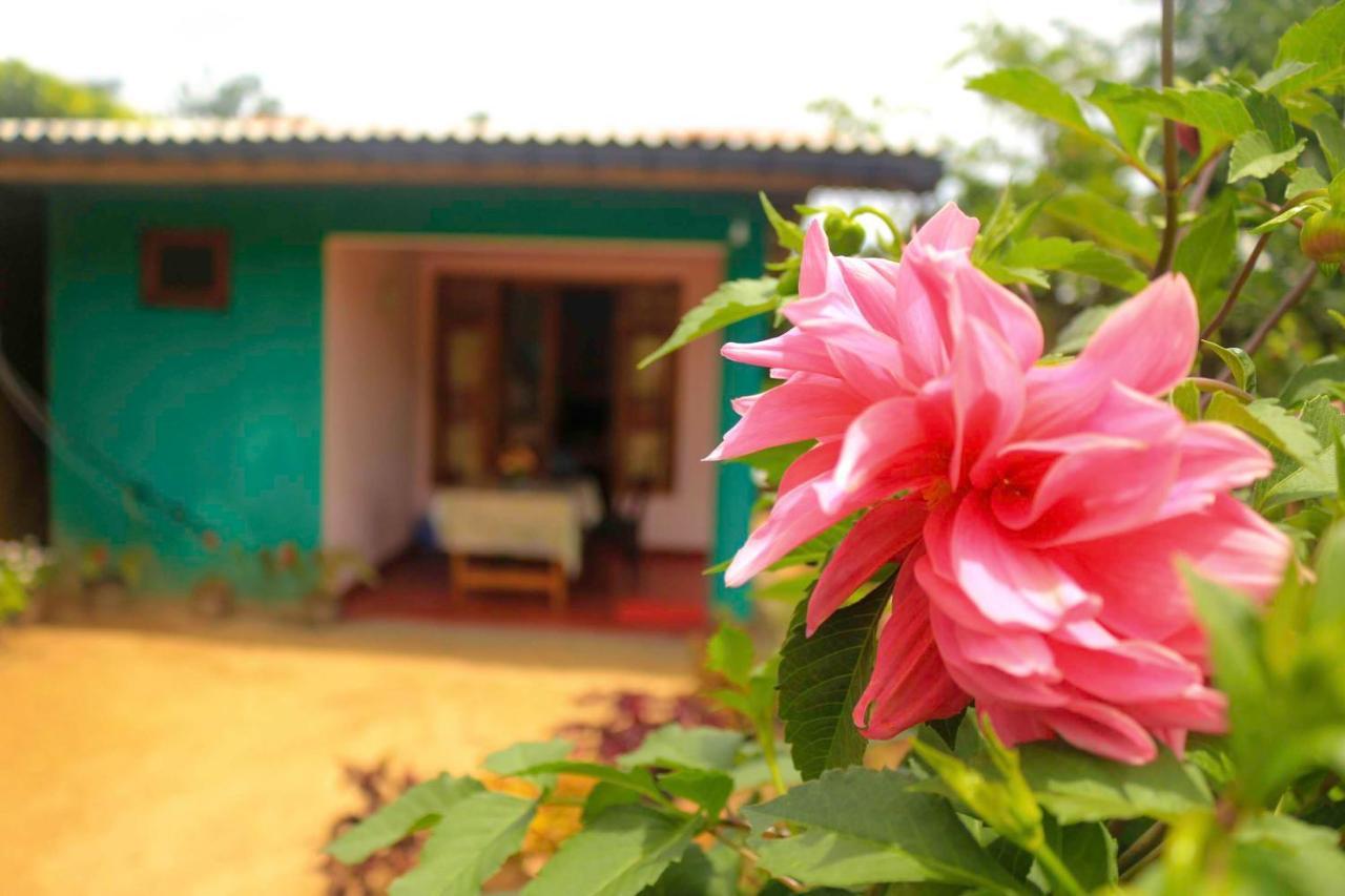 Yoho Nilmini Homestay Елла Екстер'єр фото